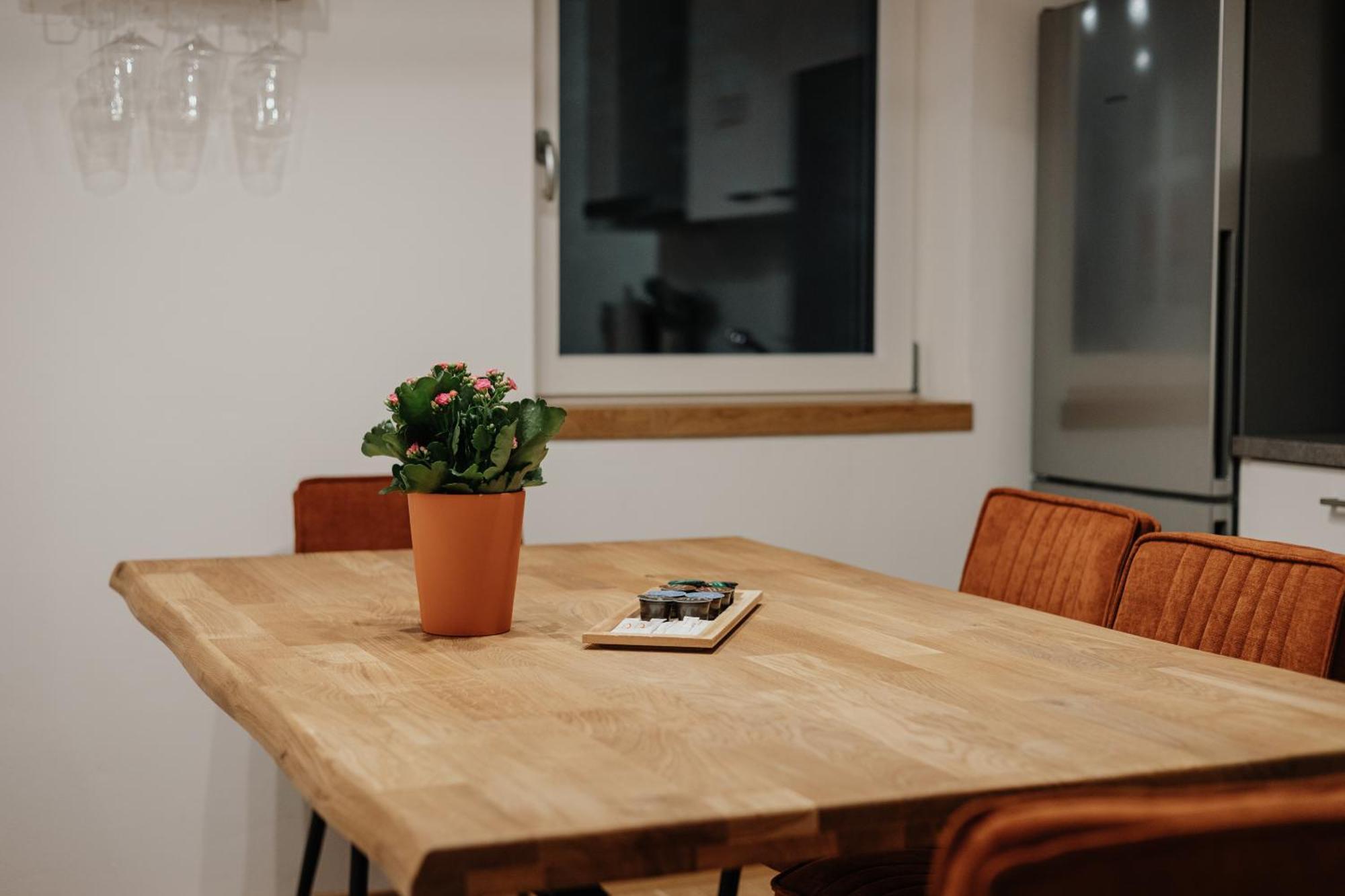 Passaus Motto Appartements! Solo - Paerchen - Familien - Gruppen الغرفة الصورة